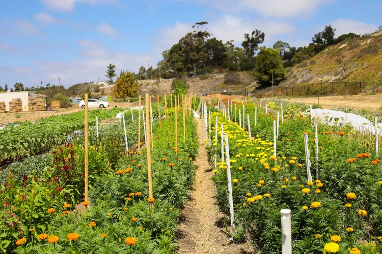 BeeWorthy Farms