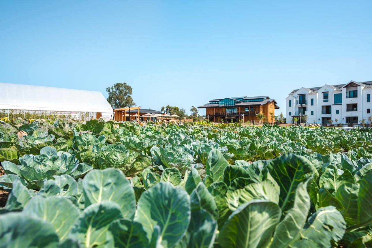 Fox Point Farms