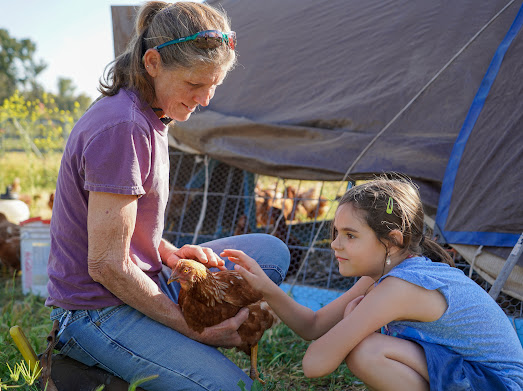 Black Mountain Farm