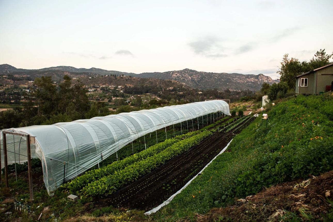 Sage Hill Gardens Ranch