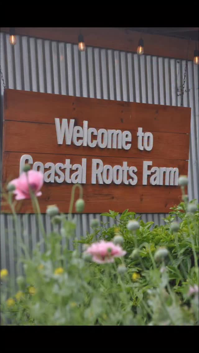 Coastal Roots Farm