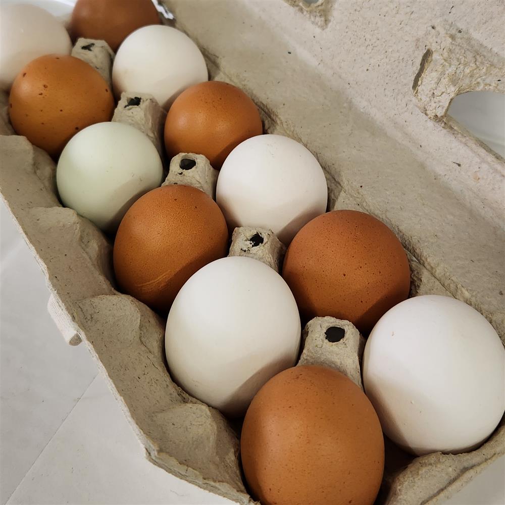 Local Pasture Eggs